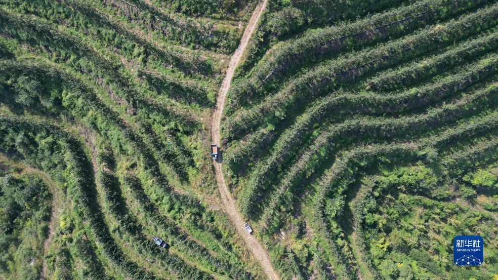 牛牛游戏正版下载